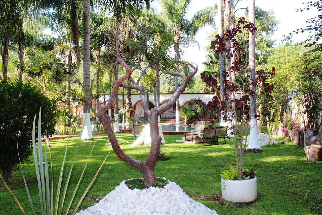 Bed and Breakfast Quinta Los Grillos Атліско Екстер'єр фото